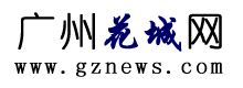 广州网